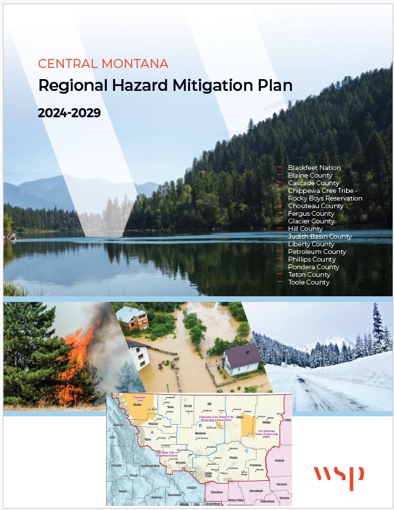 Central Plan Cover